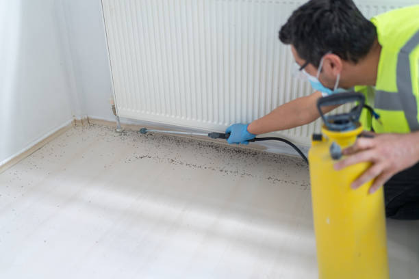 Trusted Lagrange, OH Pest Control Experts